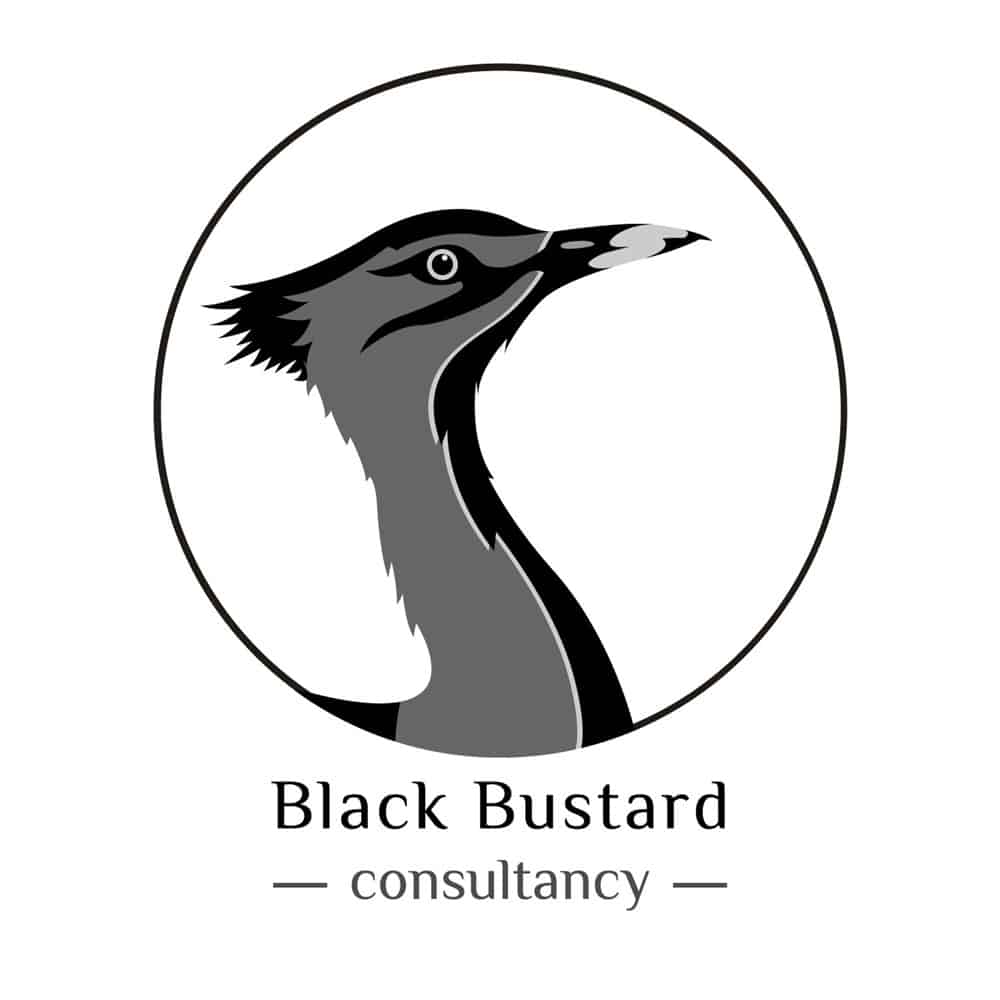 Portfolio Boris Hoekmeijer Logo Ontwerp Black Bustard Consultancy